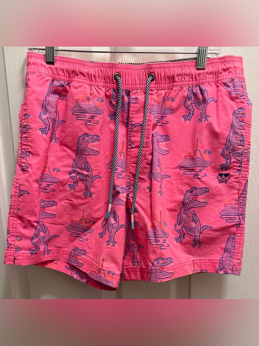 Party Pants Neon T-Rex Men’s Swim Trunks